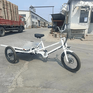 Tricicleta Cargo Flat
