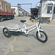 Tricicleta Cargo Flat - Image 4