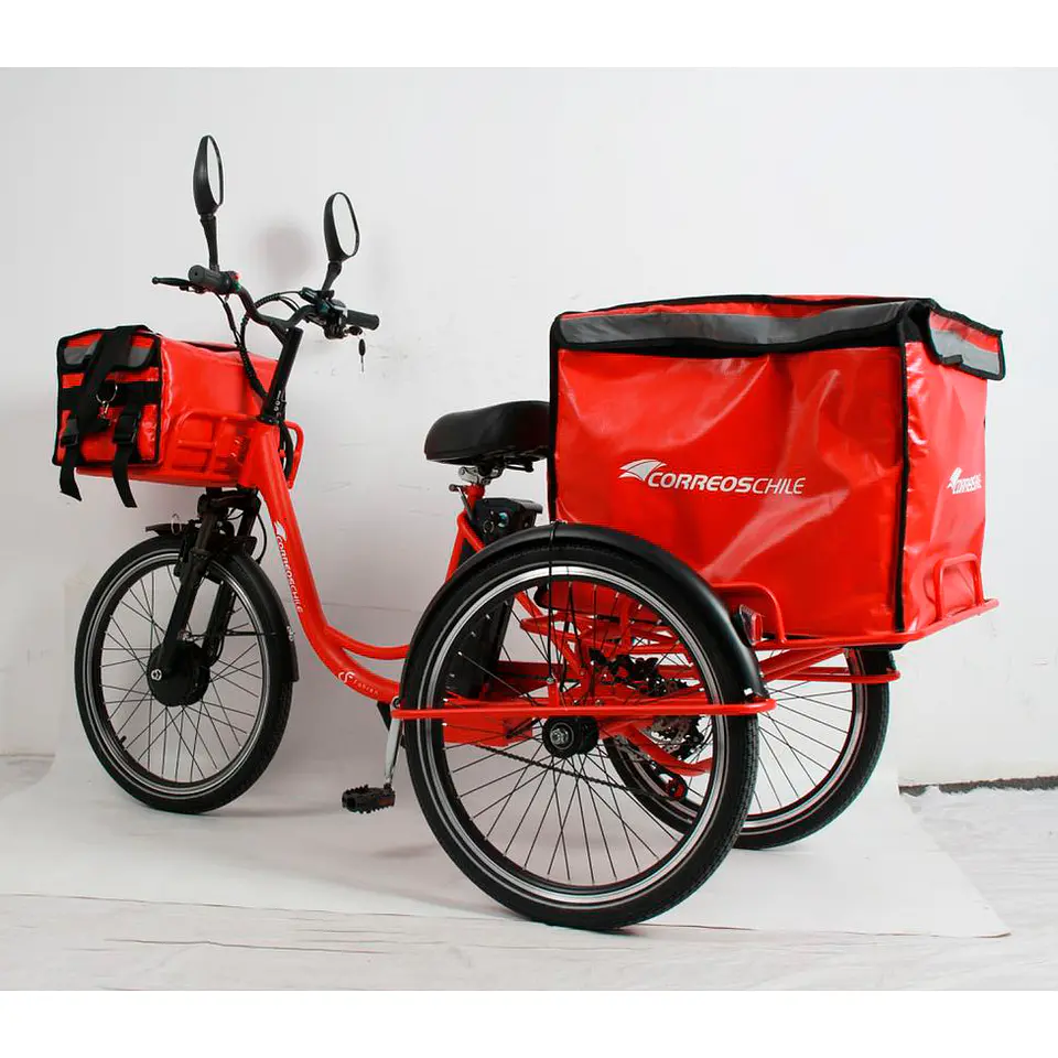 Tricicleta para delivery 2
