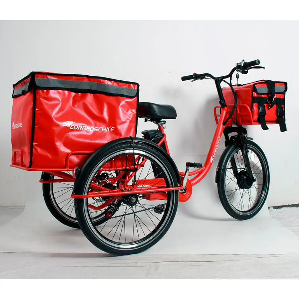 Tricicleta para delivery 3
