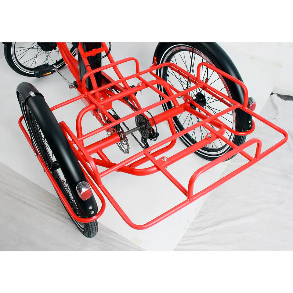 Tricicleta para delivery 7