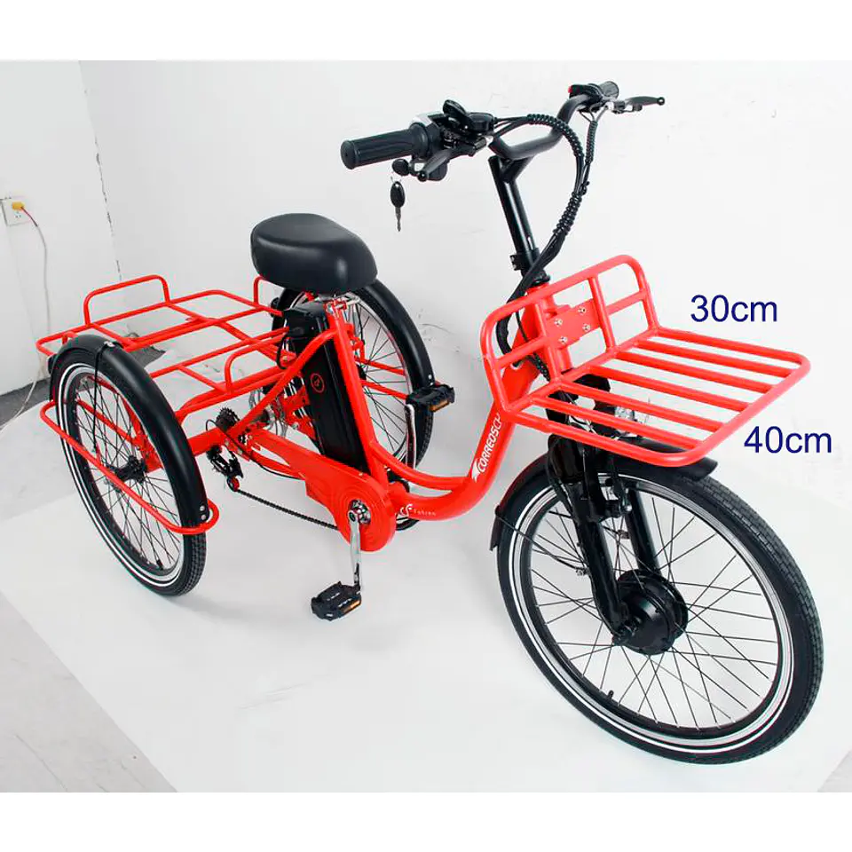 Tricicleta para delivery 5