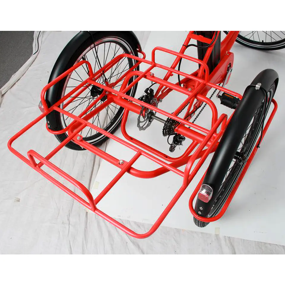 Tricicleta para delivery 9