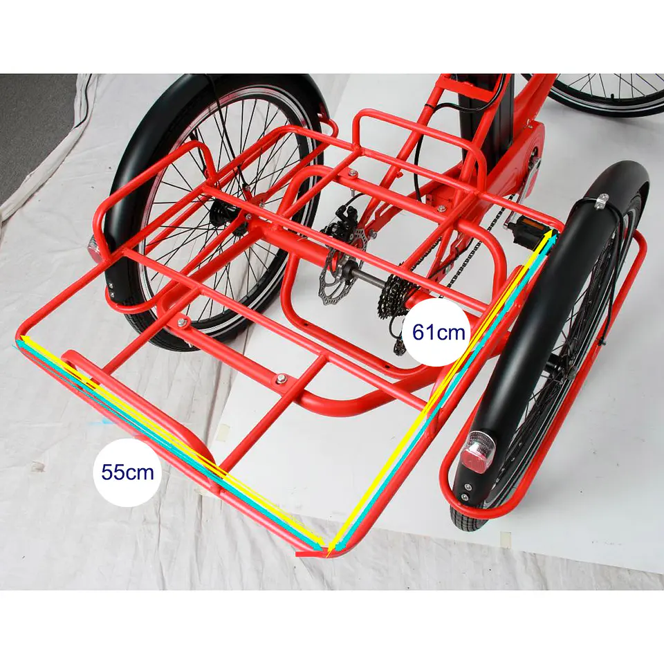 Tricicleta para delivery 8