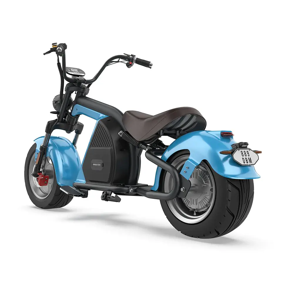 Citycoco R 804 - M8 (sin homologar) 6