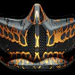 Atlas 4.0 Street King 4.0 - Miniatura 9