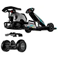 Gokart Pro 2 - thumbnail 5