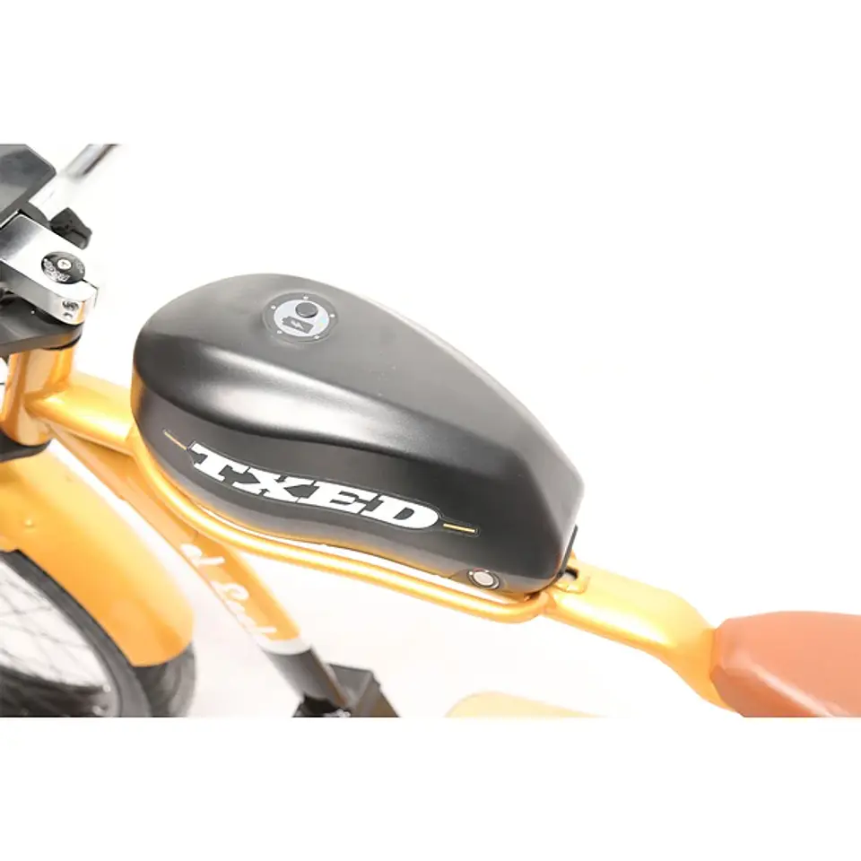 Chopper Scooter 9