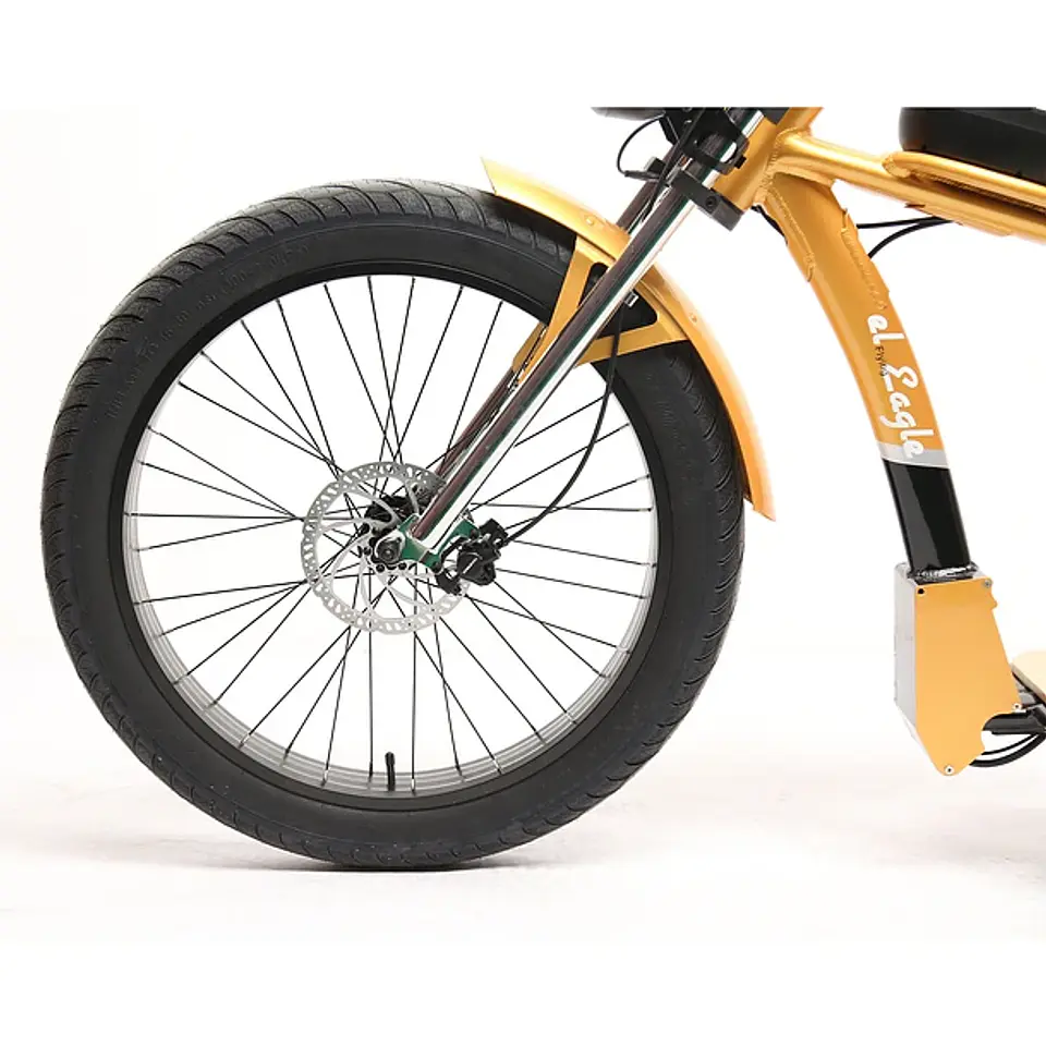 Chopper Scooter 15
