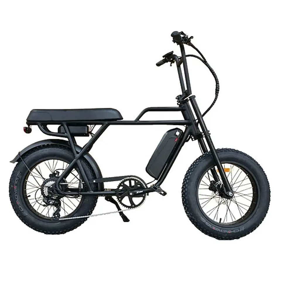 Fat Tire E-Bike 801 4