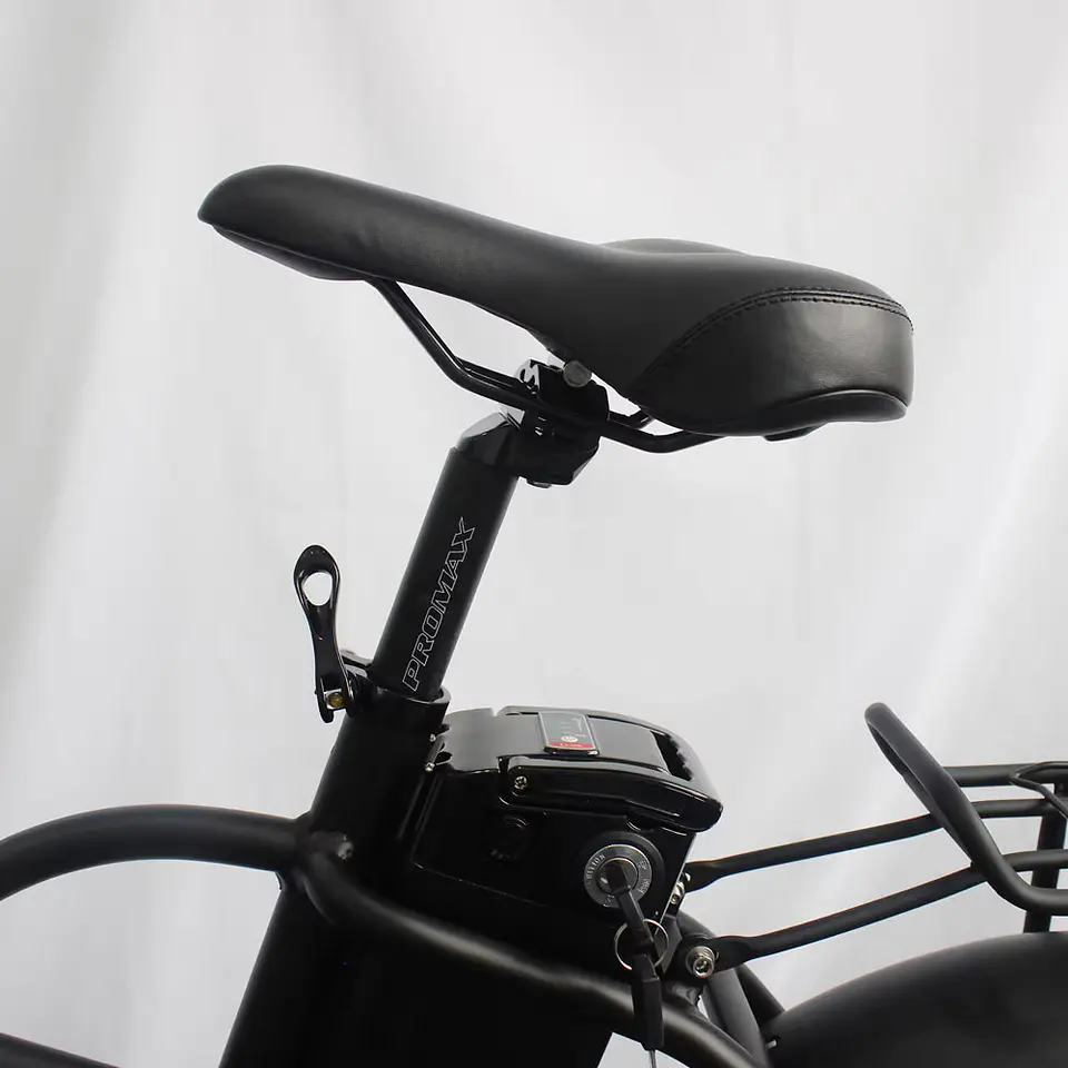 E-Bike 507 5