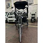 E-Trike Victoria - Miniatura 2