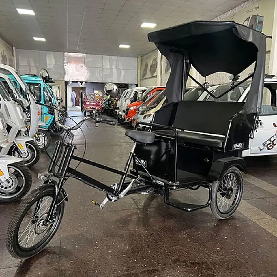 E-Trike Victoria 4