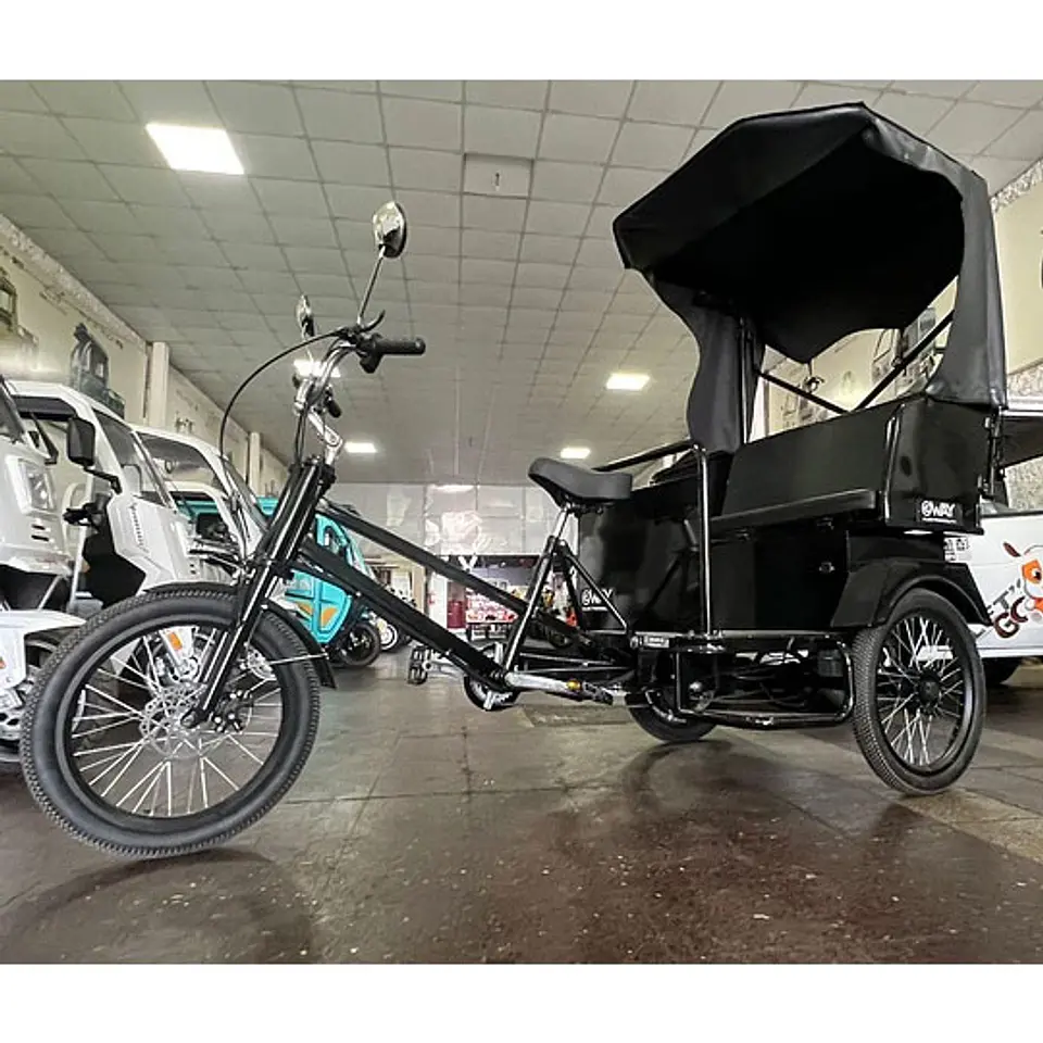E-Trike Victoria 5