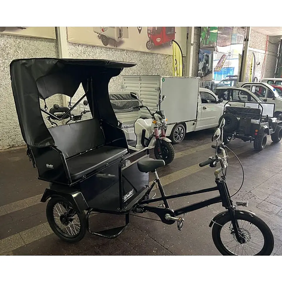 E-Trike Victoria 6