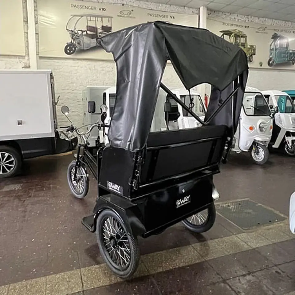 E-Trike Victoria 3