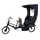E-Trike Victoria - Image 1