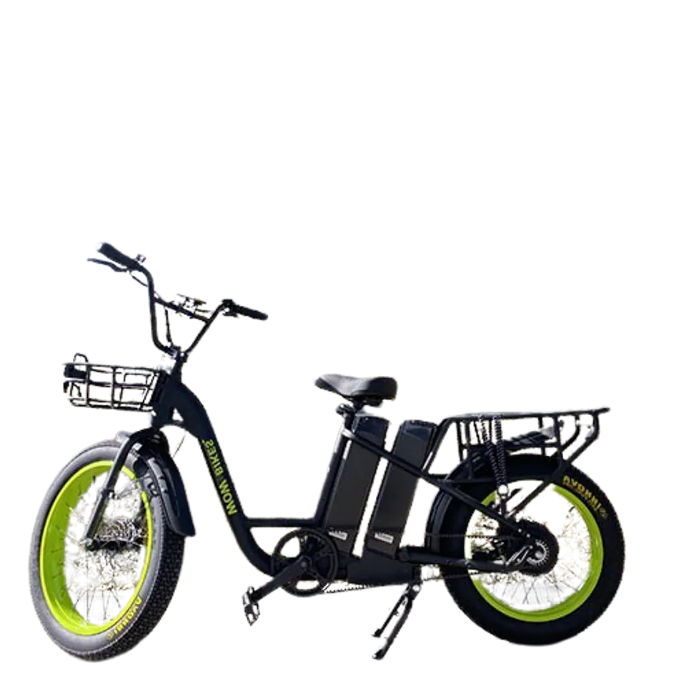 Cargo Pro 1