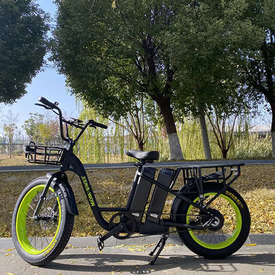 Cargo Pro 3
