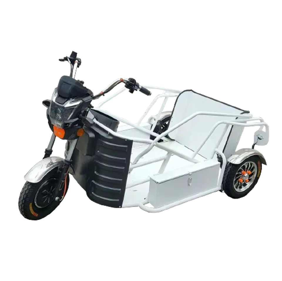 Wheeltrike 1