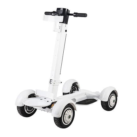 Golf Skate Caddy