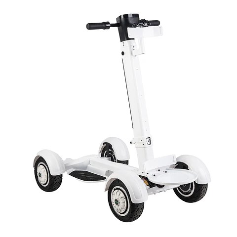 Golf Skate Caddy