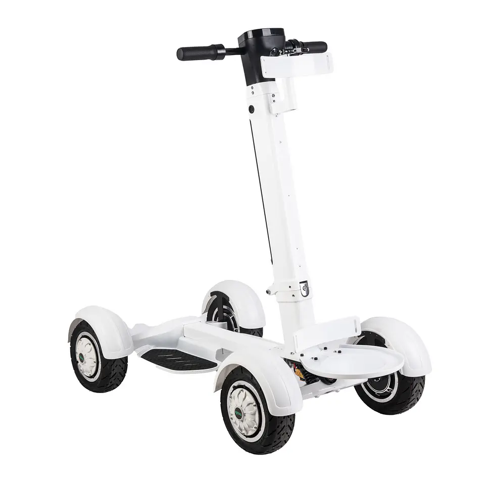 Golf Skate Caddy 2