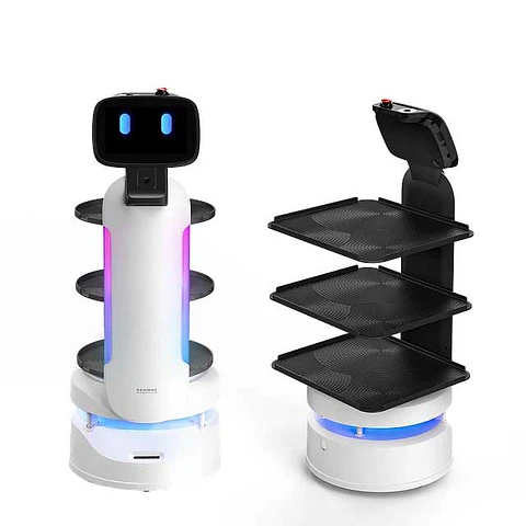 ServeBot S1