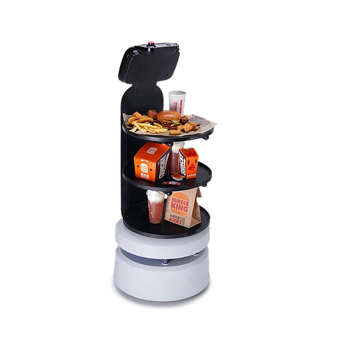 ServeBot S1