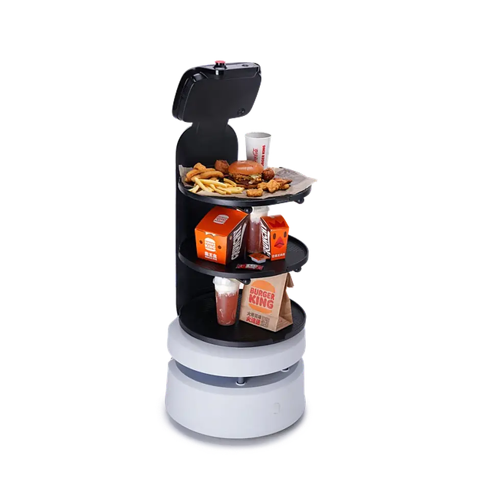 ServeBot S1 2