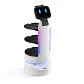 ServeBot S1 - Miniatura 7