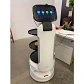 ServeBot S1 - Miniatura 16
