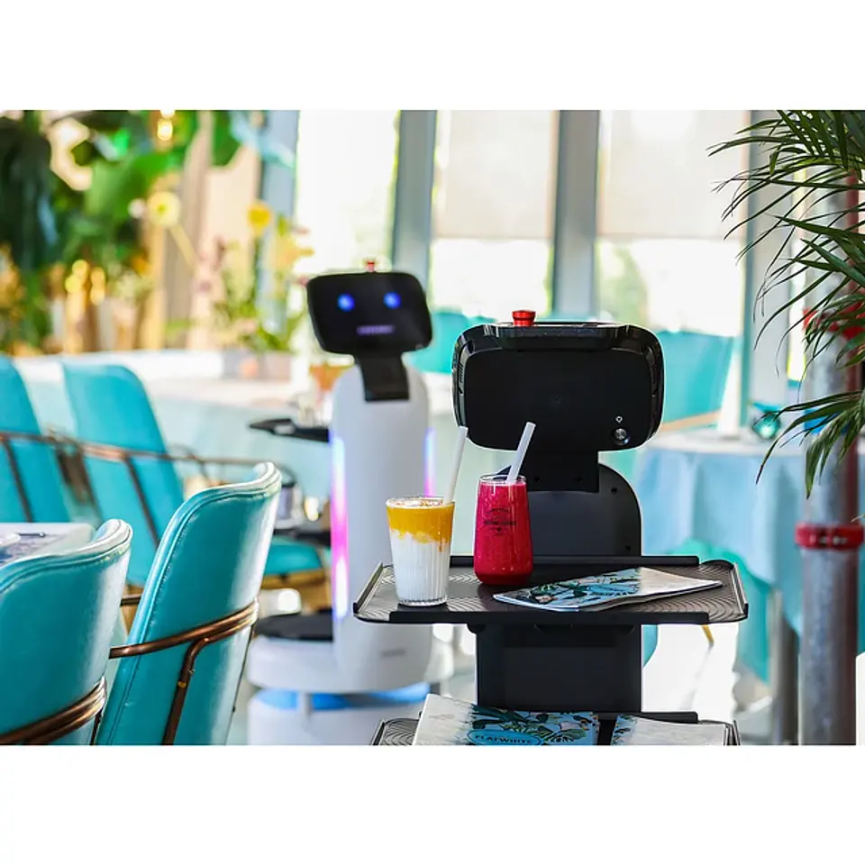ServeBot S1 17
