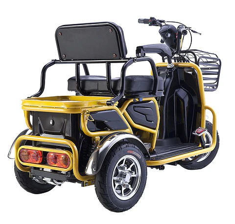 TriMoto Mov Reducida (Homologado)