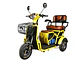TriMoto Mov Reducida (Homologado) - Miniatura 4