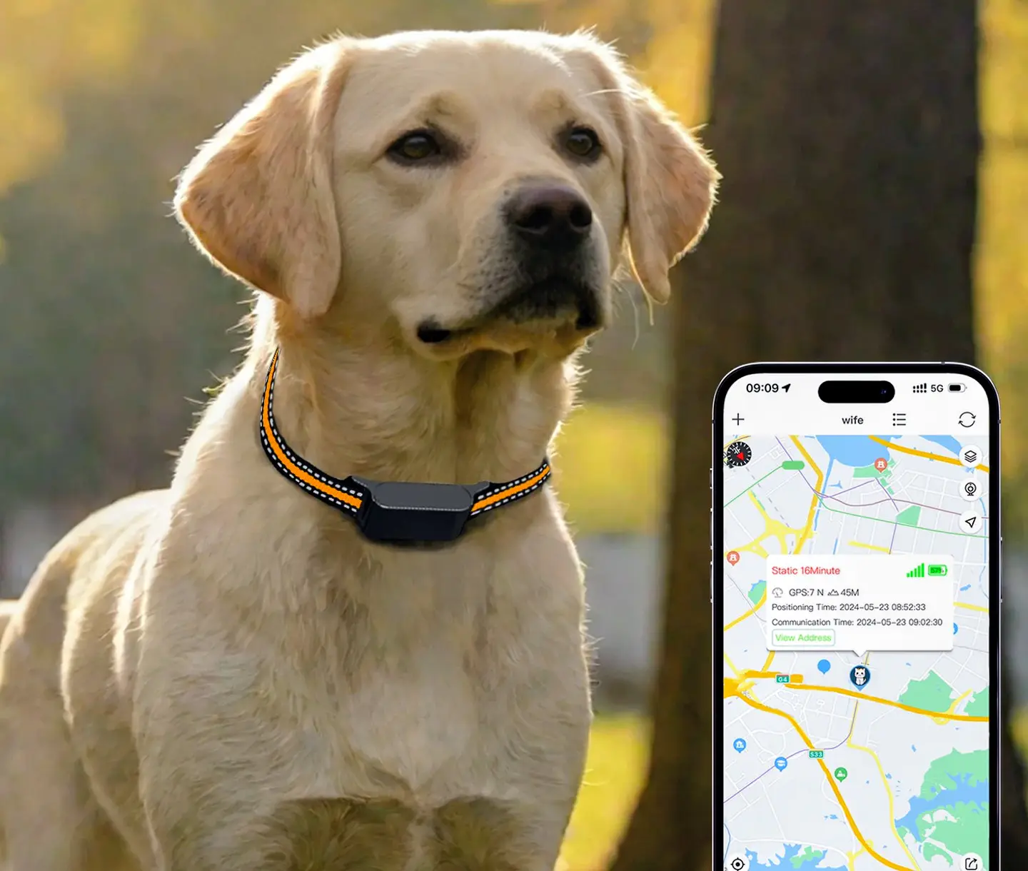 Collar rastreador gps mascotas 10