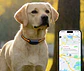 Collar rastreador gps mascotas - Miniatura 10