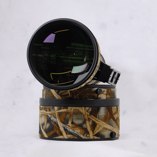 Nikon 600mm f4G ED VR - Usado 4