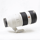 Sony FE 100-400mm f4.5-5.6 GM OSS - Usado - Miniatura 9