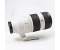 Sony FE 100-400mm f4.5-5.6 GM OSS - Usado