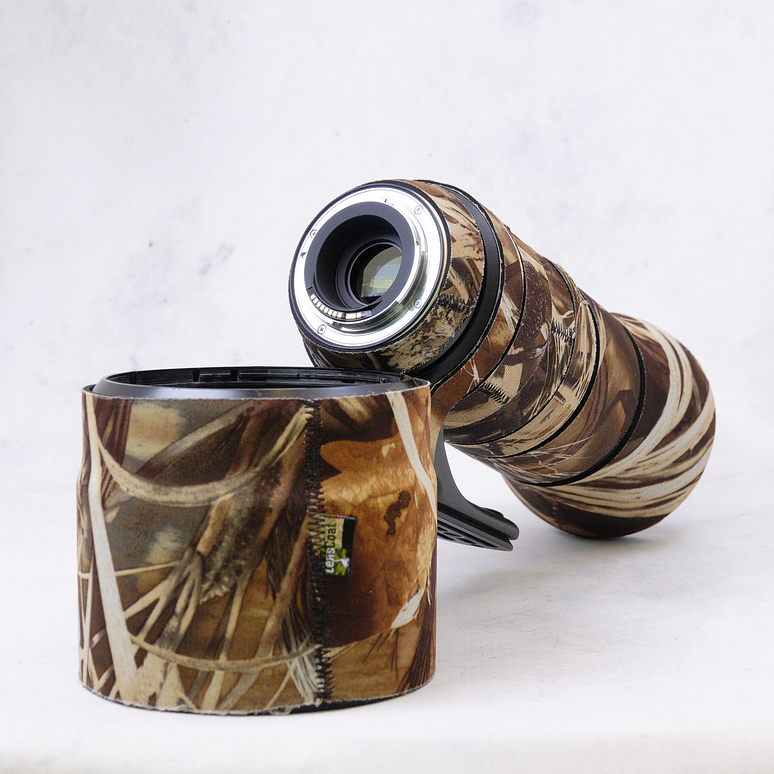 Tamron SP 150-600mm f/5-6.3 Di VC USD G2 para Canon EF - Usado 7