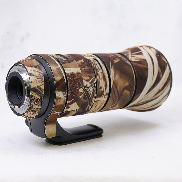 Tamron SP 150-600mm f/5-6.3 Di VC USD G2 para Canon EF - Usado 9