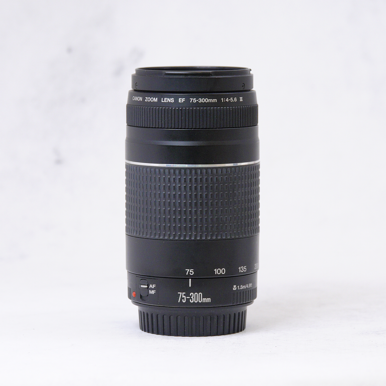 Canon EF 75-300mm f/4-5.6 III - Usado  2