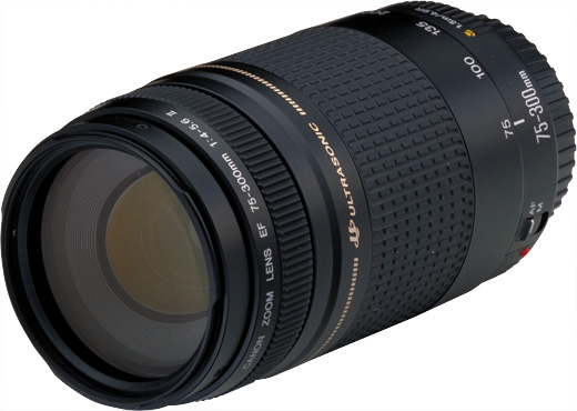 Canon EF 75-300 mm f/4-5-6 II USM - Usado