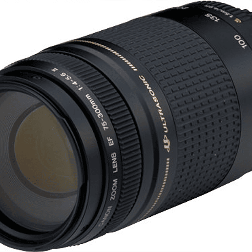 Canon EF 75-300 mm f/4-5-6 II USM - Usado 1