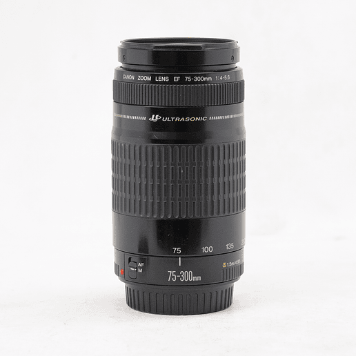 Canon EF 75-300 mm f/4-5-6 II USM - Usado 2