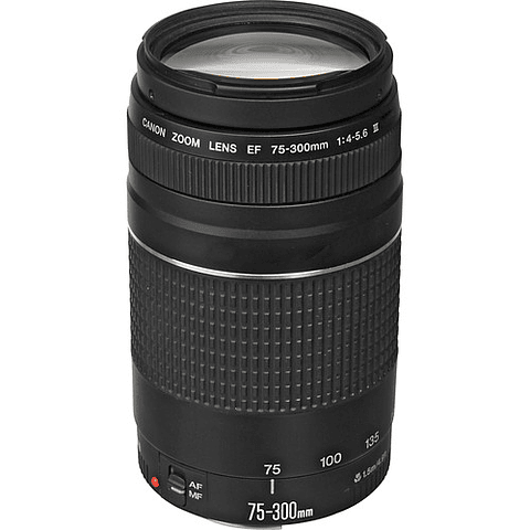 Canon EF 75-300mm f/4-5.6 III - Usado