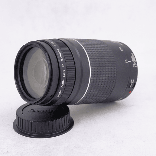 Canon EF 75-300mm f/4-5.6 III - Usado 3