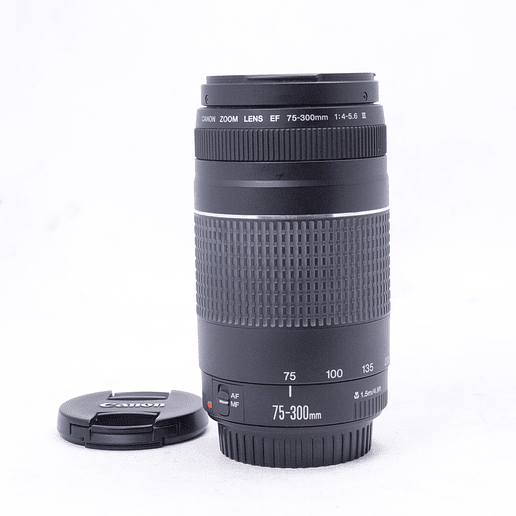 Lente Canon EF 75-300mm f4-5.6 v III - Usado 4