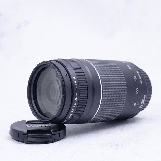 Lente Canon EF 75-300mm f4-5.6 versión III - Usado 3